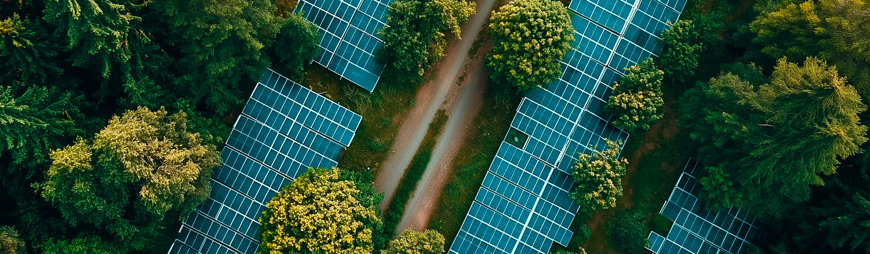 Credite din resurse externe pentru afaceri